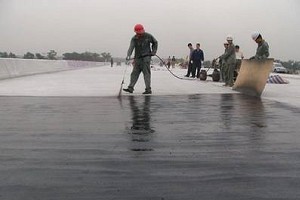 黑人專業防水資深團隊與霧峰防水工程現場